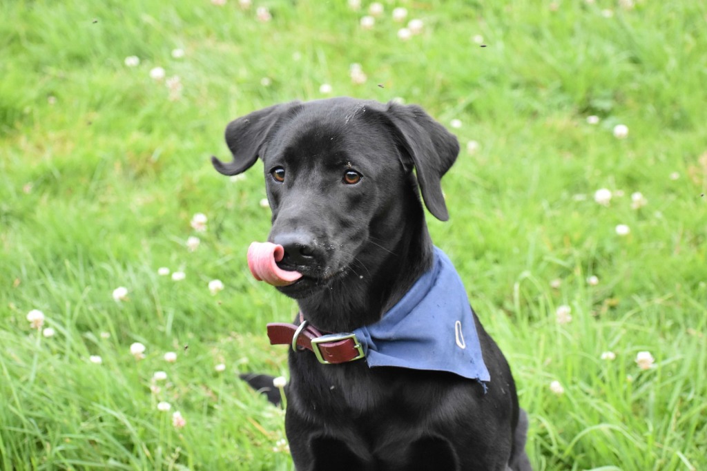 Garromuir Gallery Image