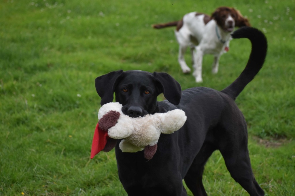 Garromuir Gallery Image