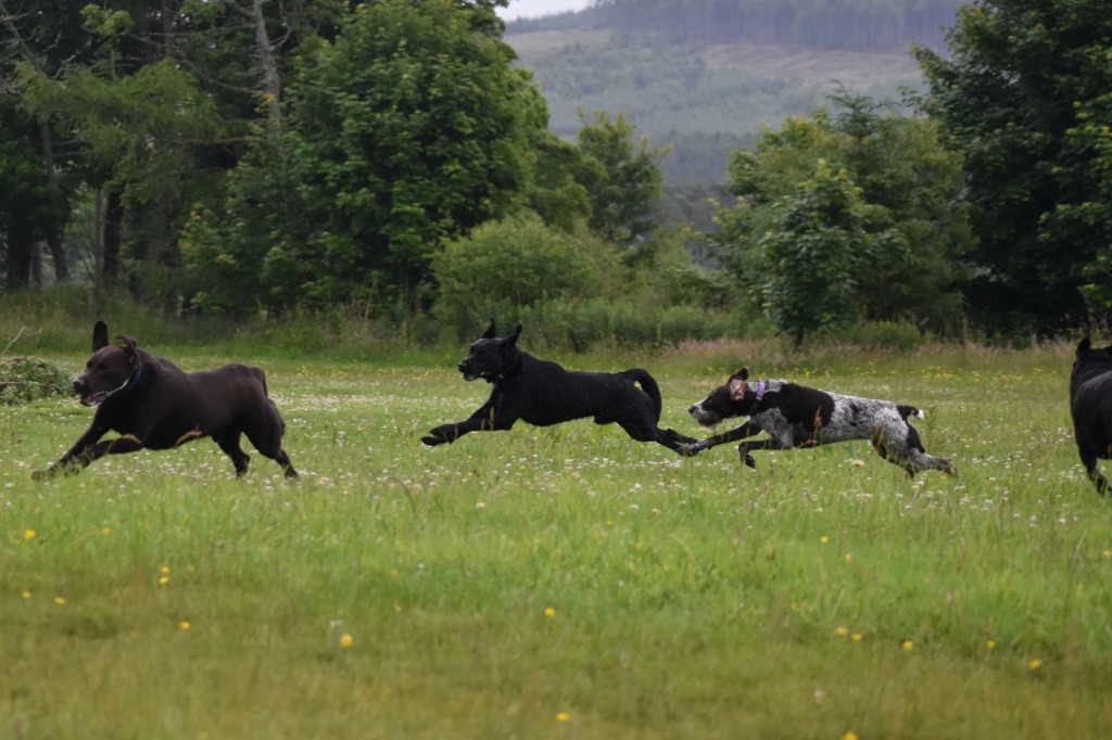 Garromuir Gallery Image