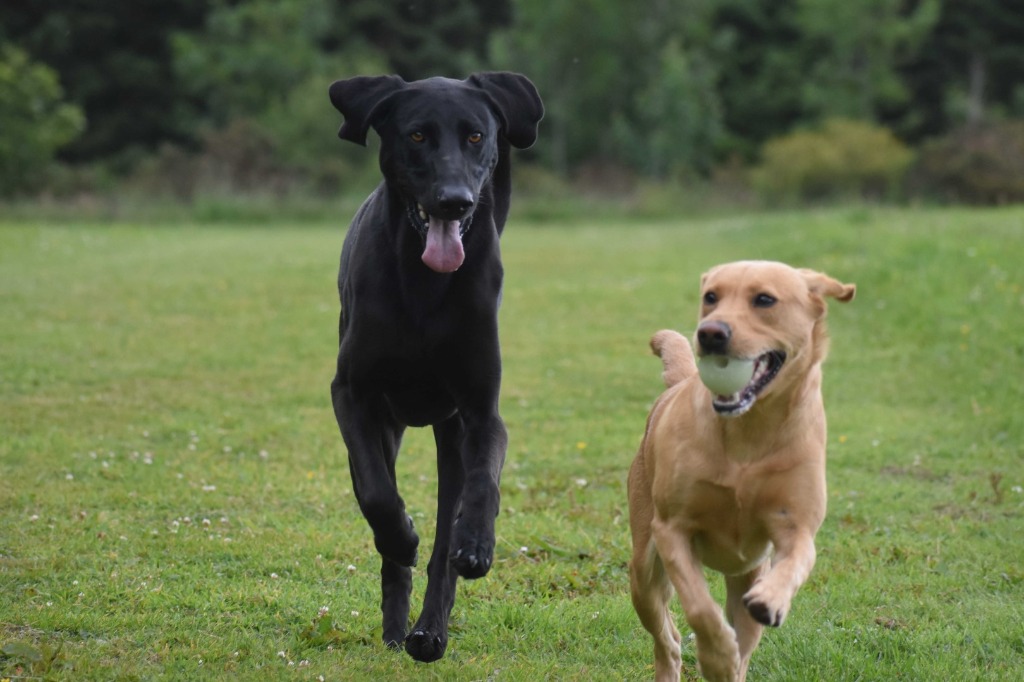 Garromuir Gallery Image