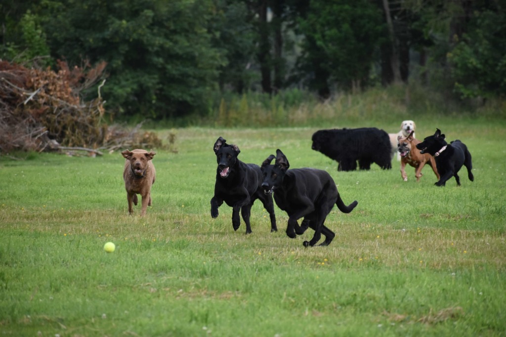 Garromuir Gallery Image