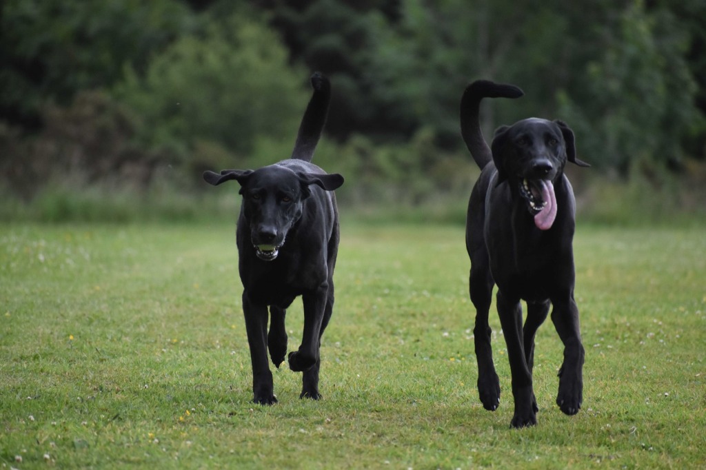 Garromuir Gallery Image