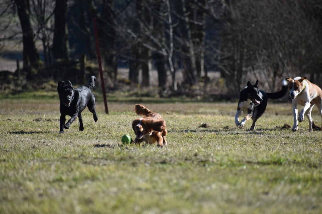 Garromuir Gallery Image
