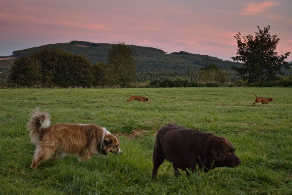 Garromuir Gallery Image