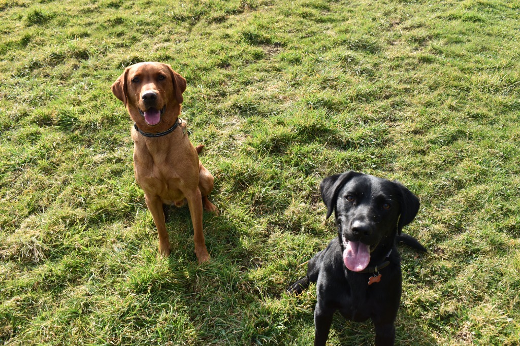 Garromuir Gallery Image