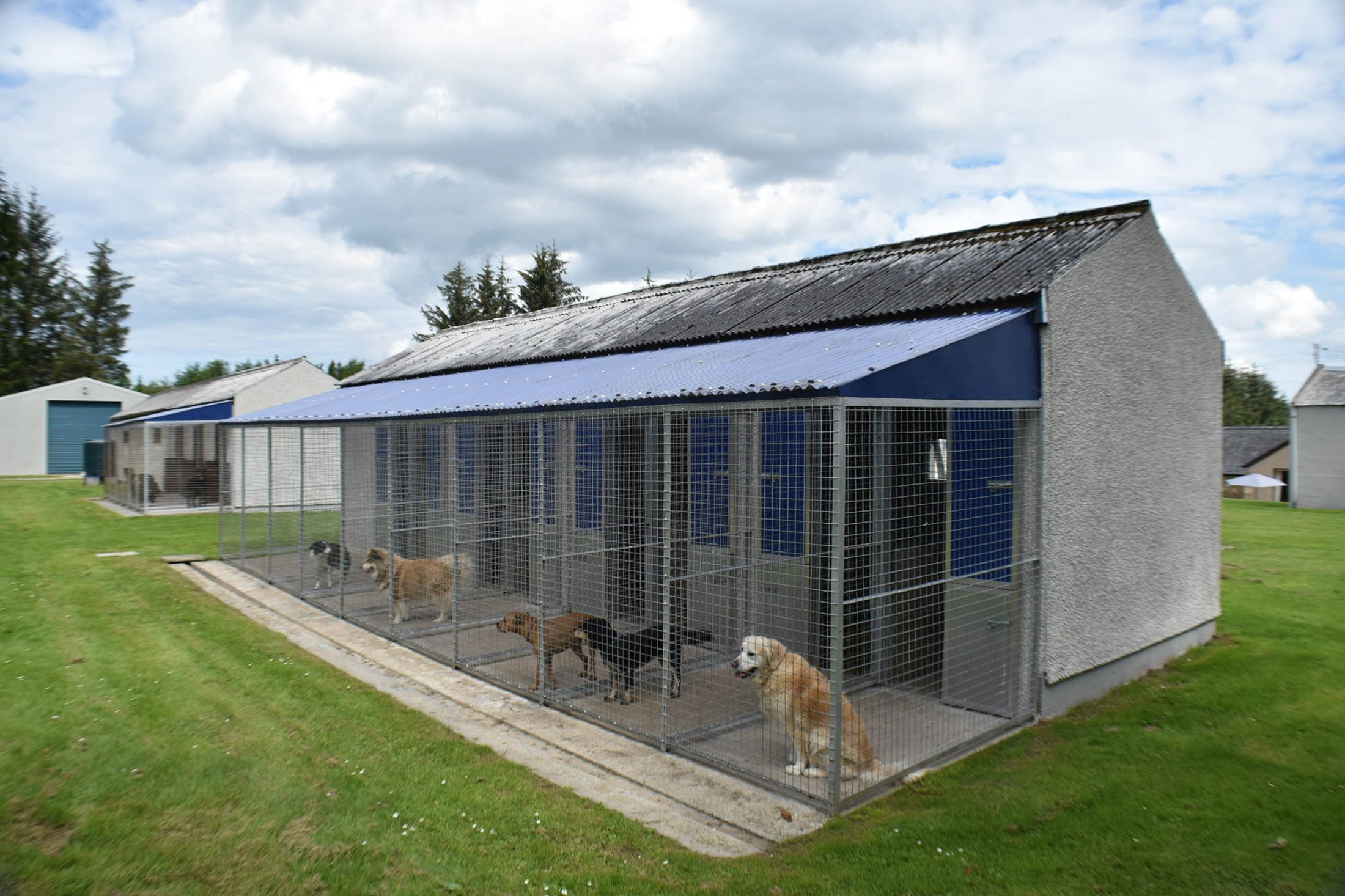 Vaccinations Garromuir Kennels & Cattery